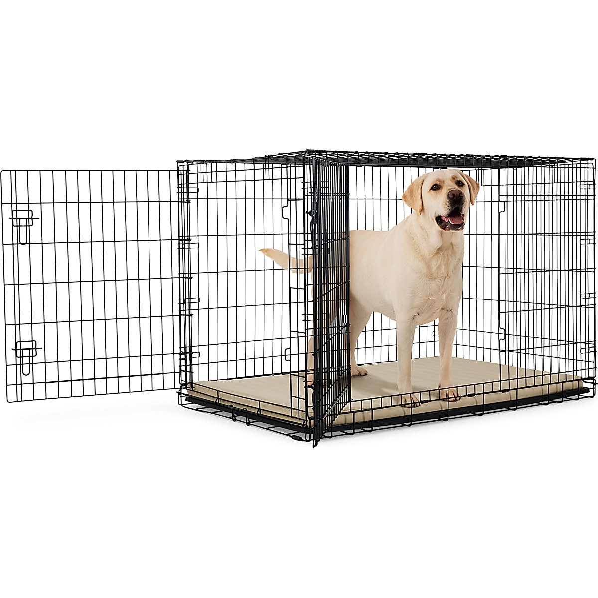 Petmate Sky Kennel Plastic Dog Kennel